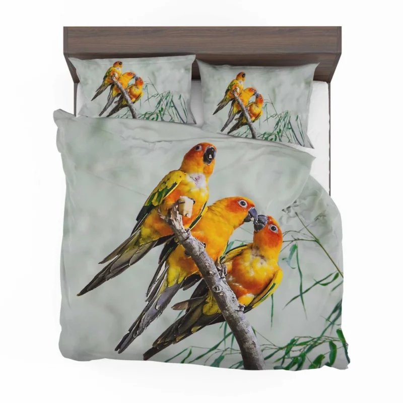 Sun Parakeet Tropical Charm Colorful Parrot Bedding Set 1