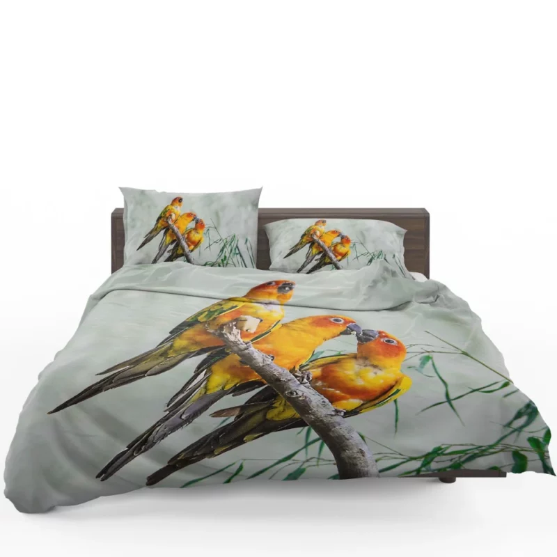 Sun Parakeet Tropical Charm Colorful Parrot Bedding Set