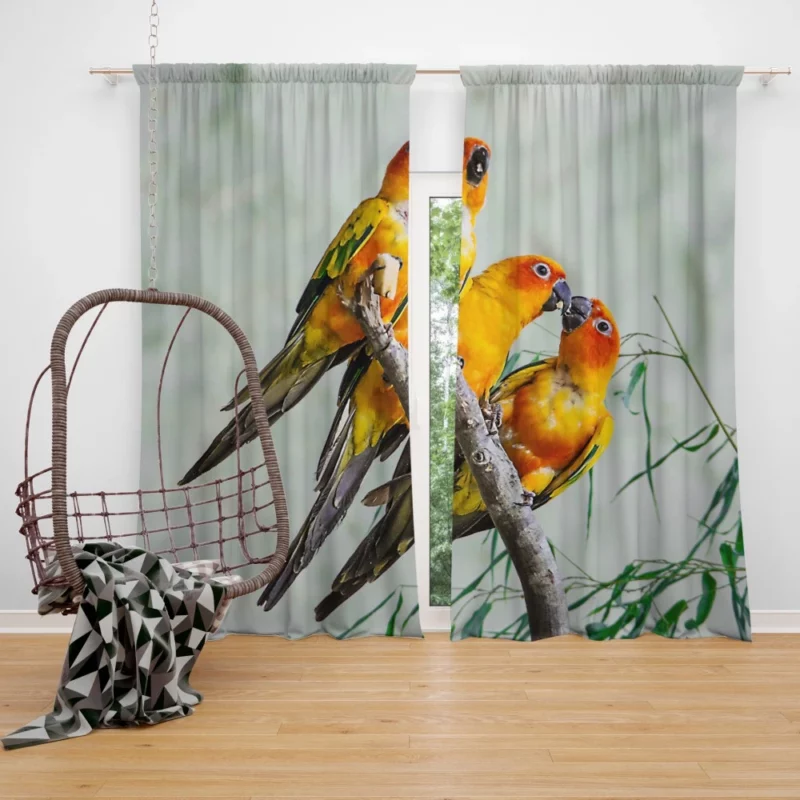 Sun Parakeet Tropical Charm Colorful Parrot Curtain