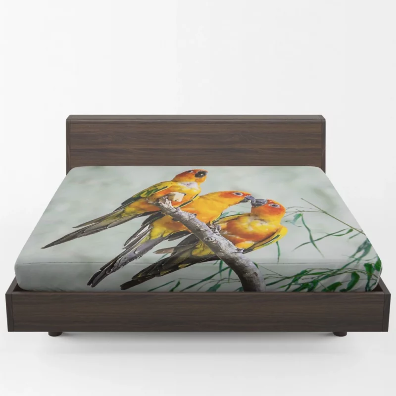 Sun Parakeet Tropical Charm Colorful Parrot Fitted Sheet