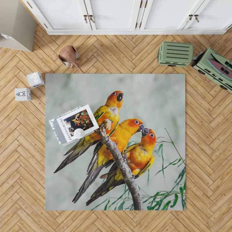 Sun Parakeet Tropical Charm Colorful Parrot Rug