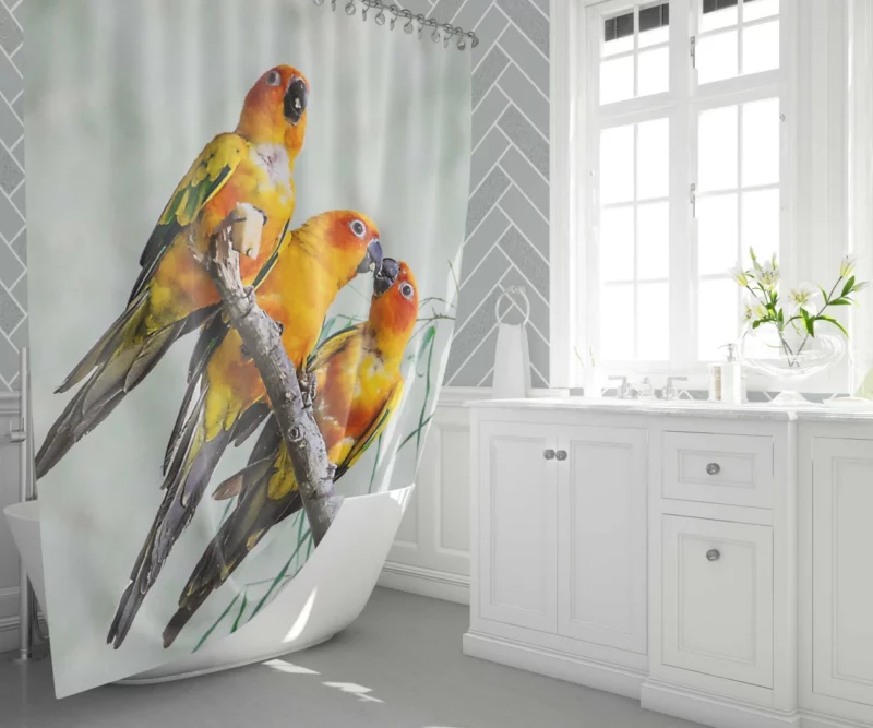 Sun Parakeet Tropical Charm Colorful Parrot Shower Curtain 1