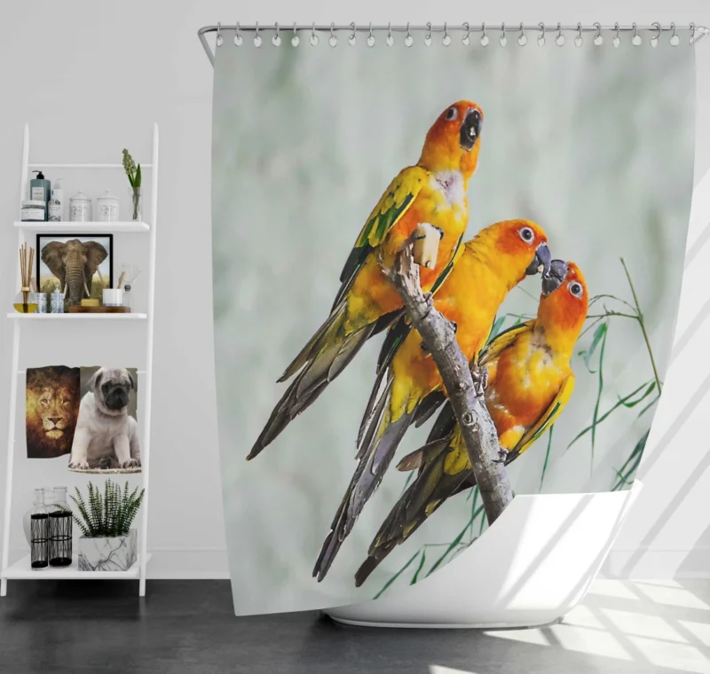 Sun Parakeet Tropical Charm Colorful Parrot Shower Curtain