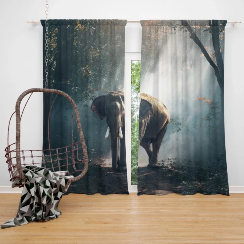 Sunbeam-Kissed Asian Elephant Majestic Wonder Curtain