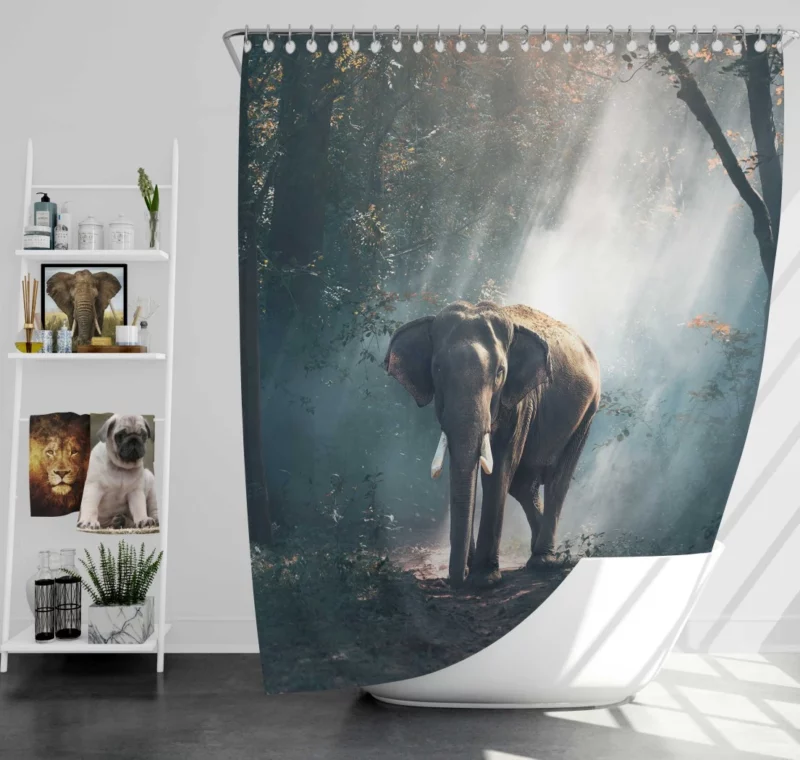 Sunbeam-Kissed Asian Elephant Majestic Wonder Shower Curtain