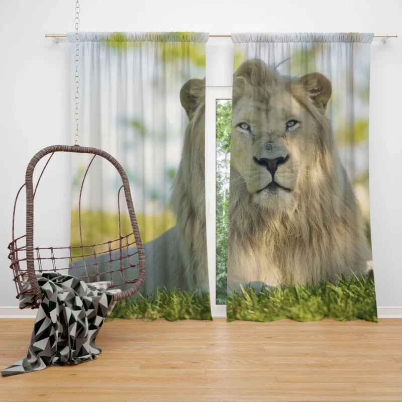 Sunny Lion Majesty Wilderness Dominance Curtain