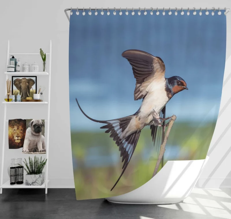 Swallow Aerial Dance Whimsical Flight Shower Curtain