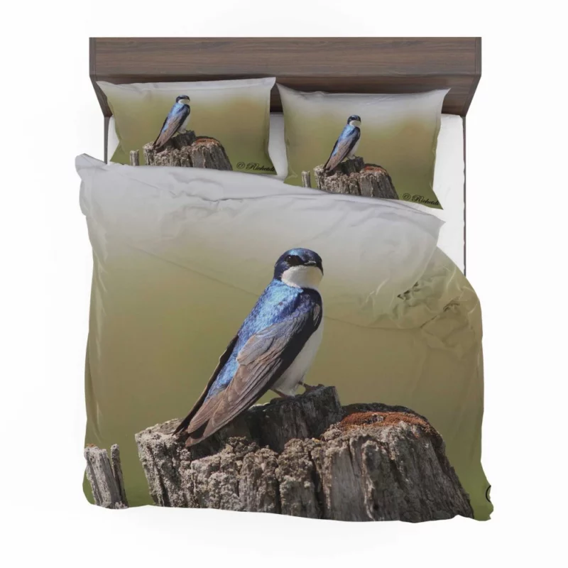 Swallow First Flight Wings Unfurled Bedding Set 1