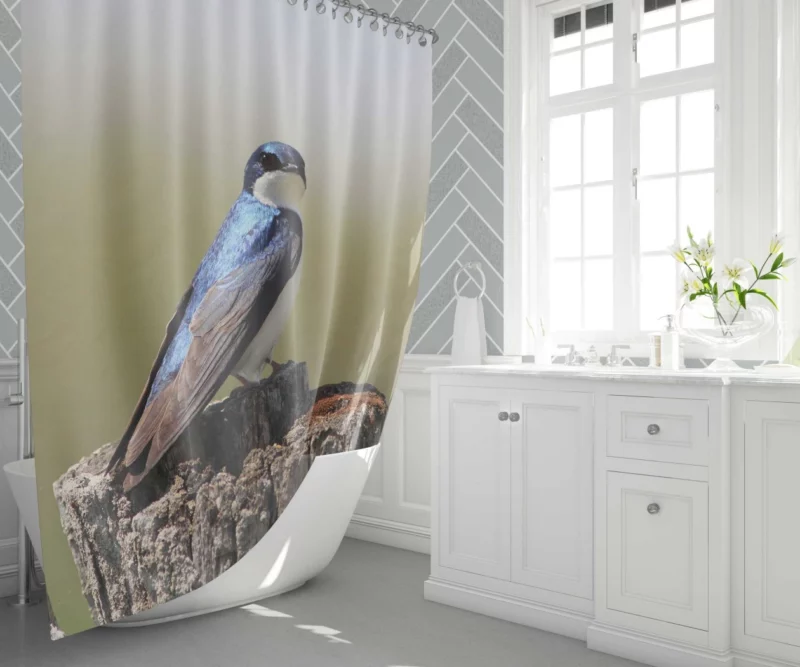 Swallow First Flight Wings Unfurled Shower Curtain 1