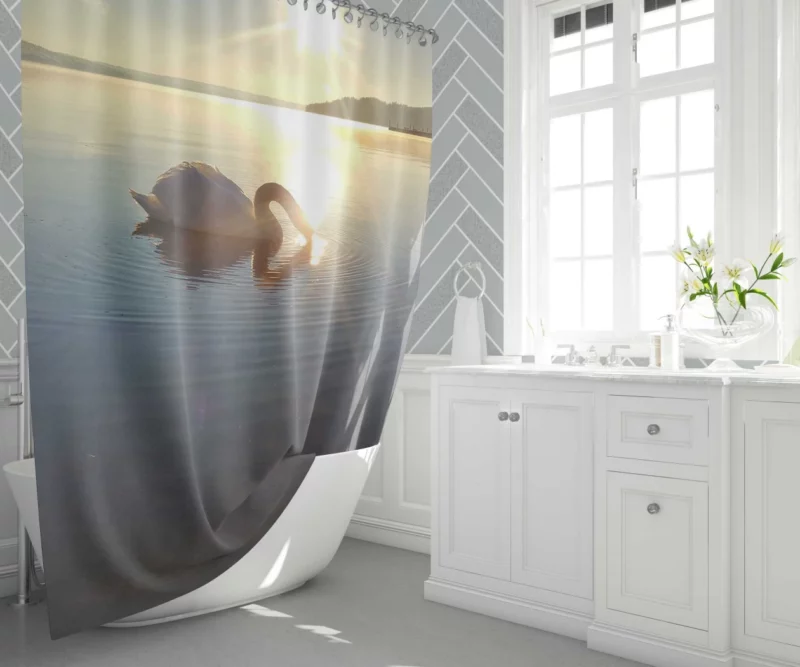 Swan Grace in Sätila Lake Shower Curtain 1