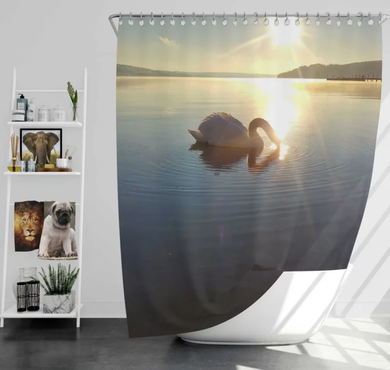 Swan Grace in Sätila Lake Shower Curtain