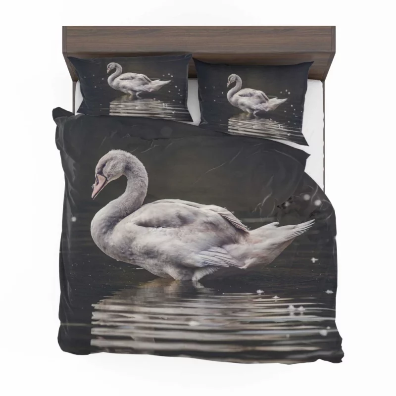 Swan Graceful Elegance Waterside Beauty Bedding Set 1