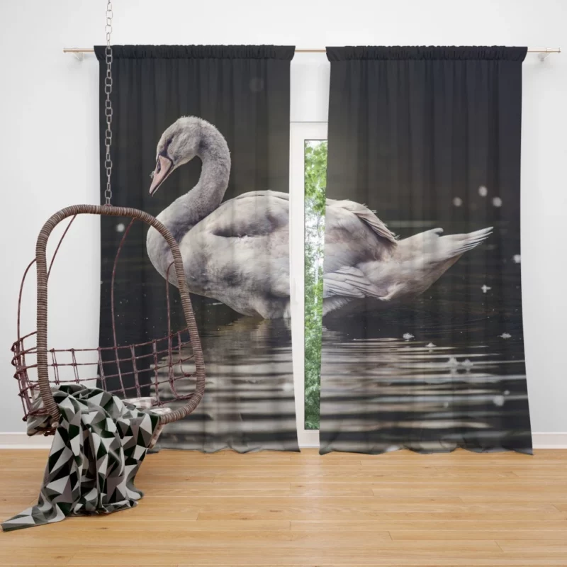 Swan Graceful Elegance Waterside Beauty Curtain