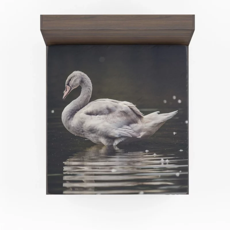 Swan Graceful Elegance Waterside Beauty Fitted Sheet 1