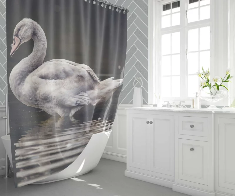 Swan Graceful Elegance Waterside Beauty Shower Curtain 1