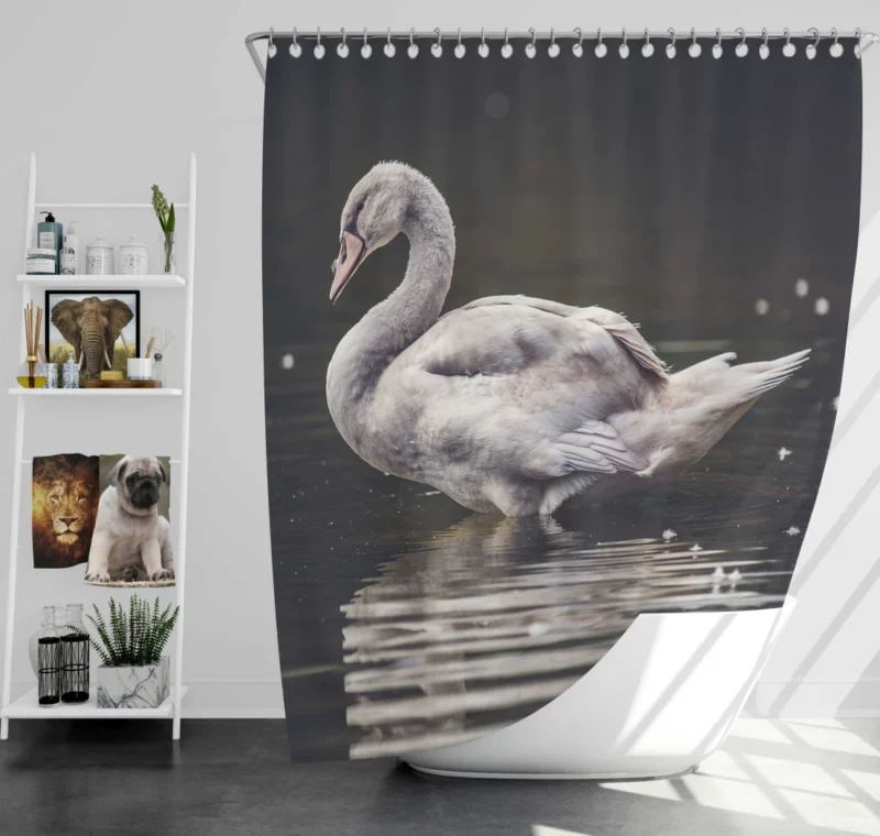 Swan Graceful Elegance Waterside Beauty Shower Curtain