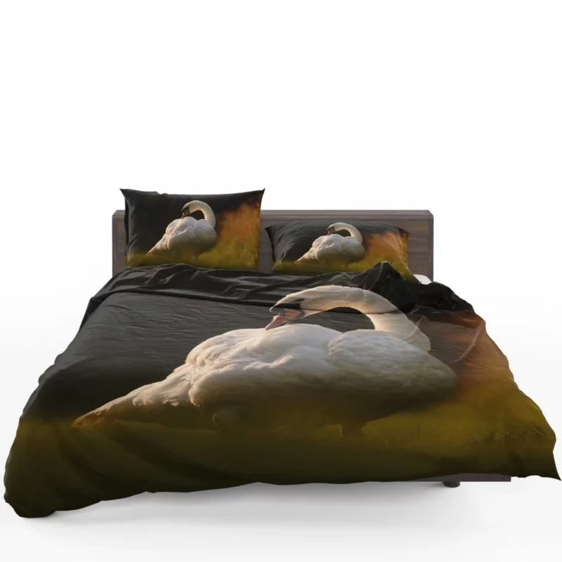 Swan Reflection Aquatic Grace Bedding Set