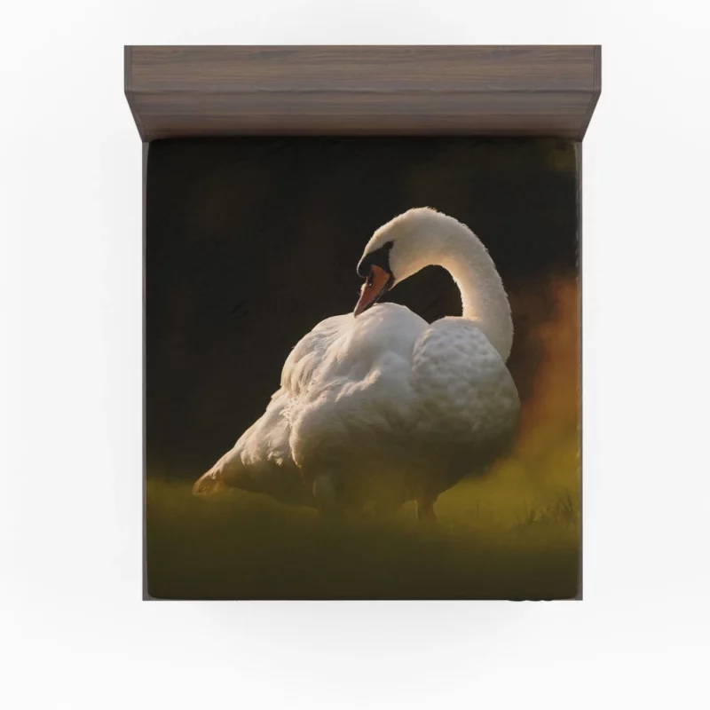 Swan Reflection Aquatic Grace Fitted Sheet 1