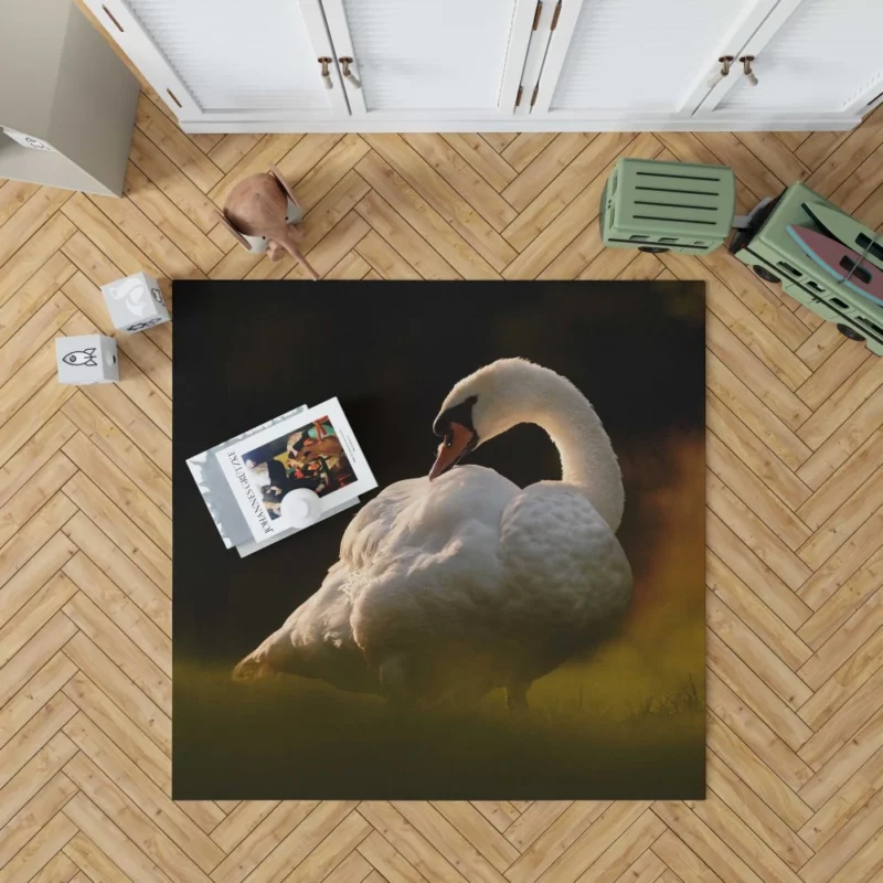 Swan Reflection Aquatic Grace Rug