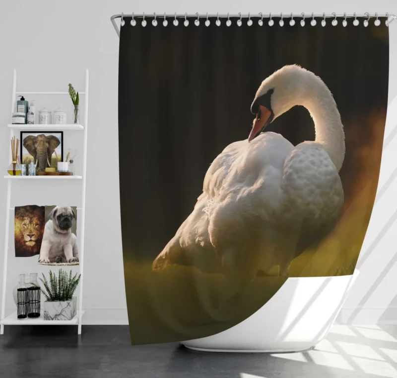 Swan Reflection Aquatic Grace Shower Curtain