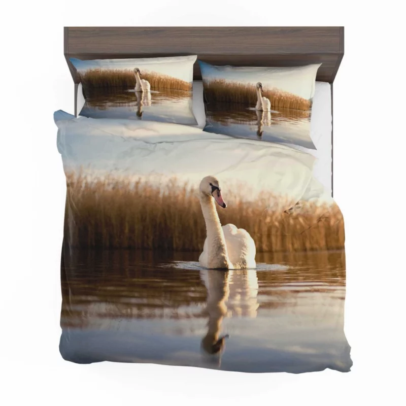 Swan Serene Dance Lake Beauty Bedding Set 1