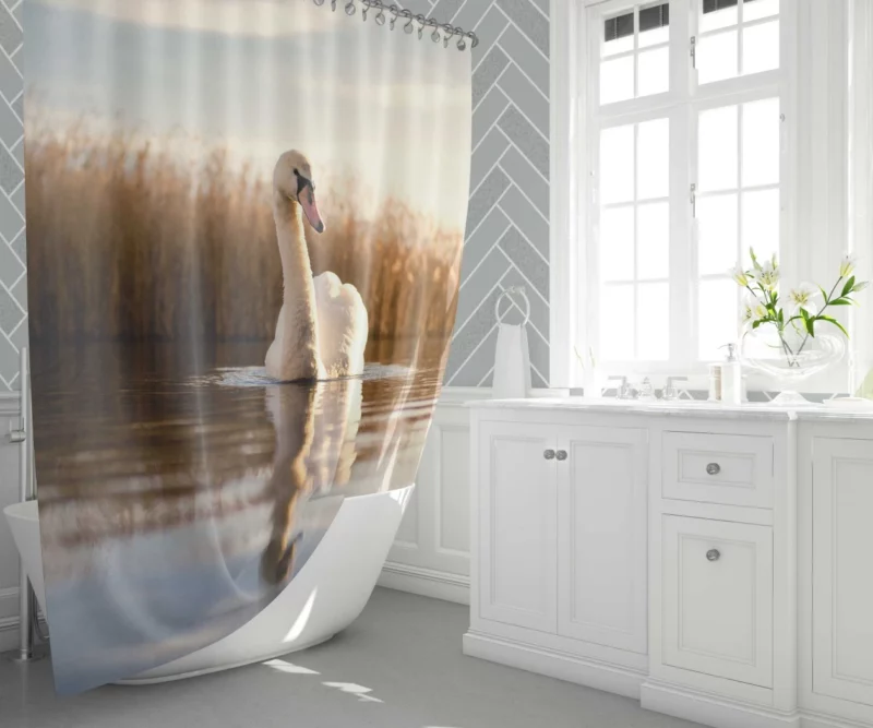 Swan Serene Dance Lake Beauty Shower Curtain 1