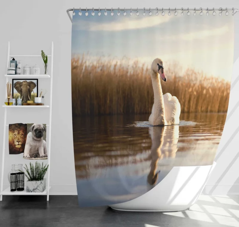 Swan Serene Dance Lake Beauty Shower Curtain