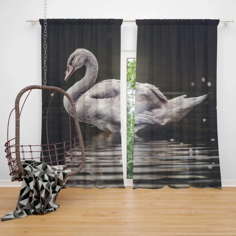 Swan Water Reflection Aquatic Serenity Curtain