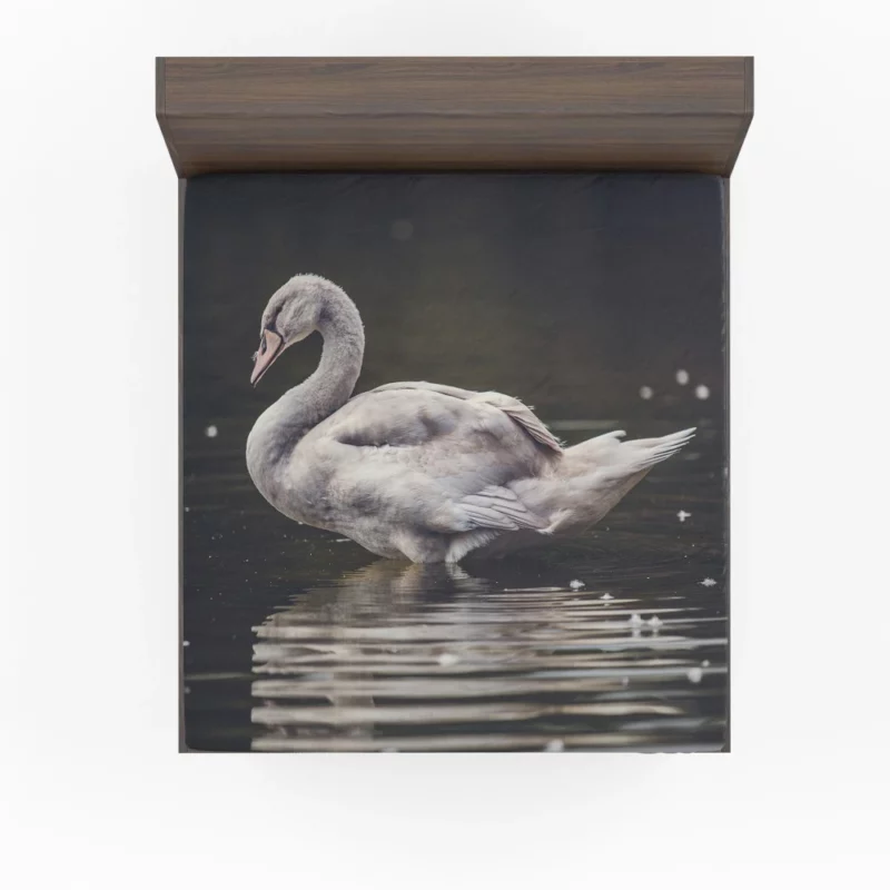 Swan Water Reflection Aquatic Serenity Fitted Sheet 1