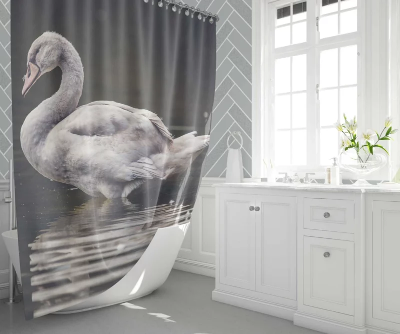 Swan Water Reflection Aquatic Serenity Shower Curtain 1