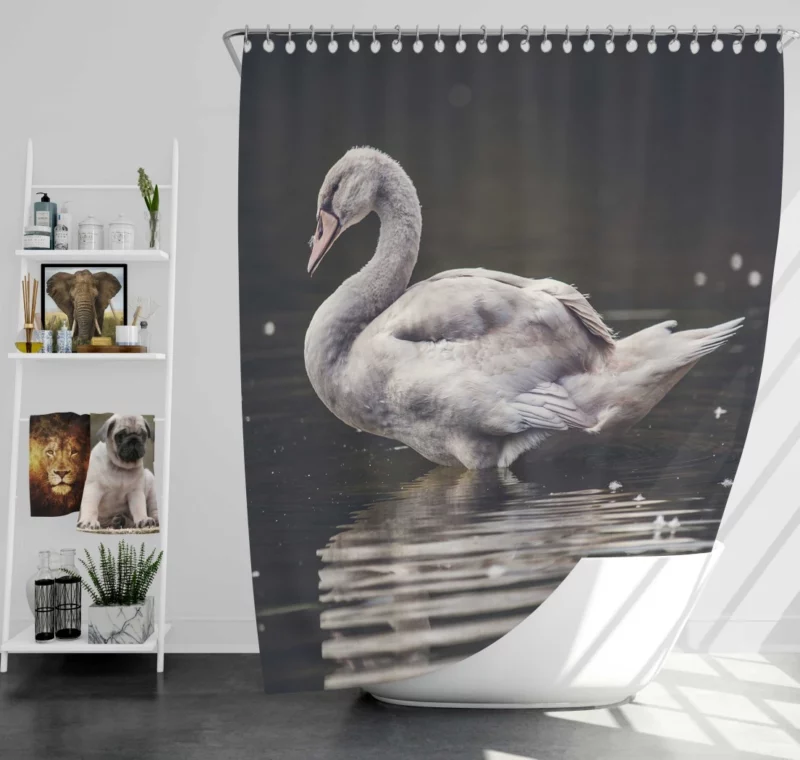 Swan Water Reflection Aquatic Serenity Shower Curtain