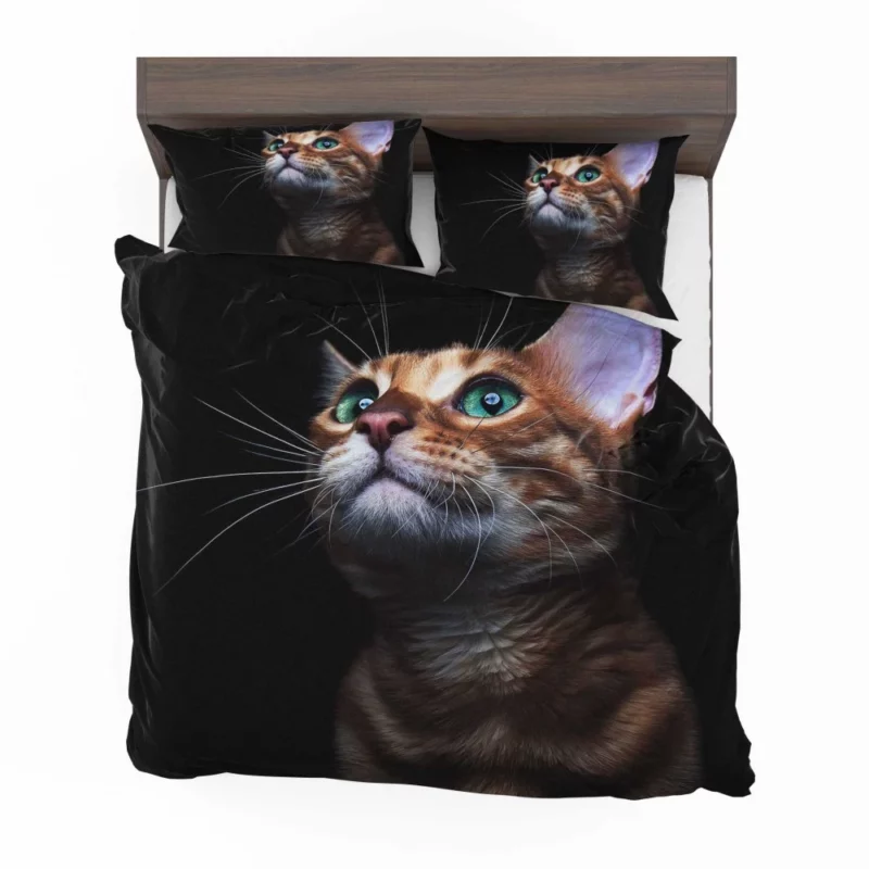 Sweet Kitten Innocent Play Furry Joy Bedding Set 1