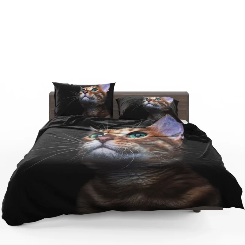 Sweet Kitten Innocent Play Furry Joy Bedding Set