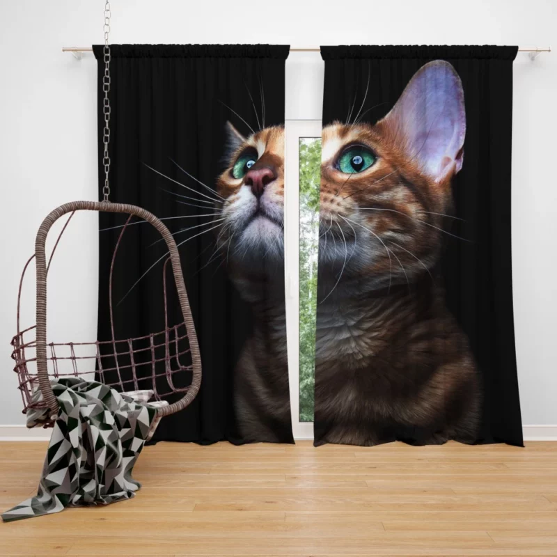 Sweet Kitten Innocent Play Furry Joy Curtain