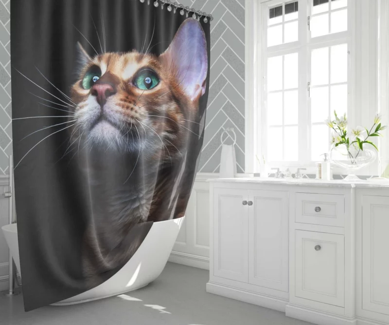 Sweet Kitten Innocent Play Furry Joy Shower Curtain 1