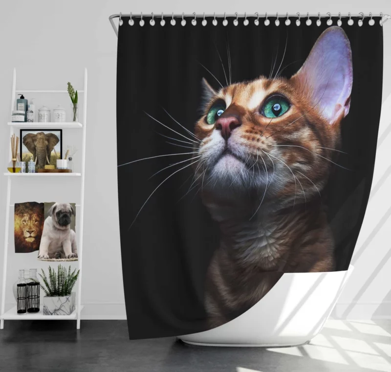 Sweet Kitten Innocent Play Furry Joy Shower Curtain