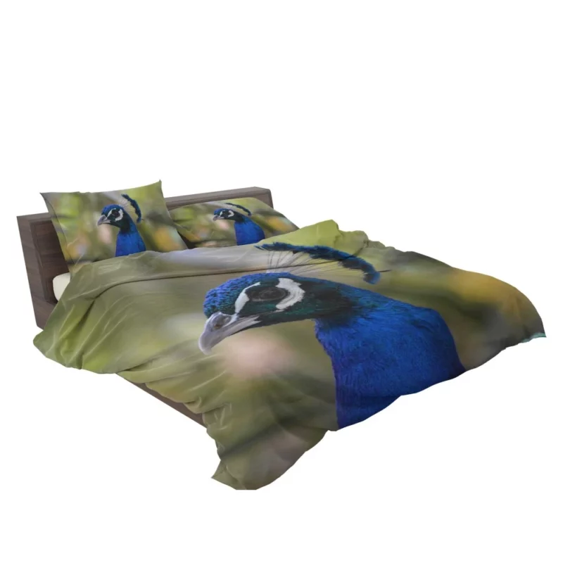 Sweetness in a Cat Gaze Bedding Set 2