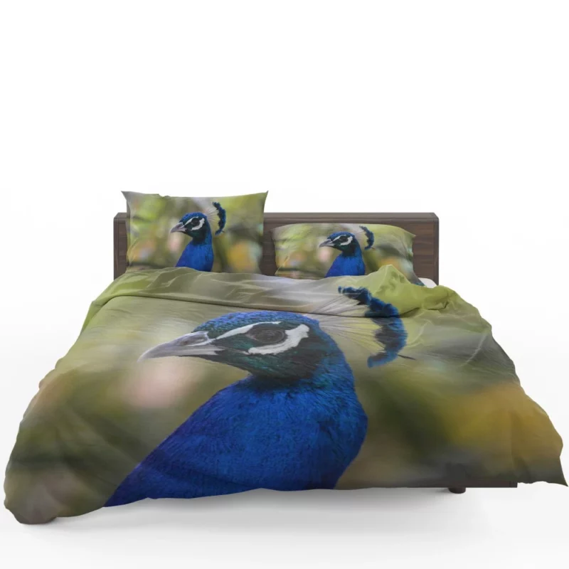 Sweetness in a Cat Gaze Bedding Set