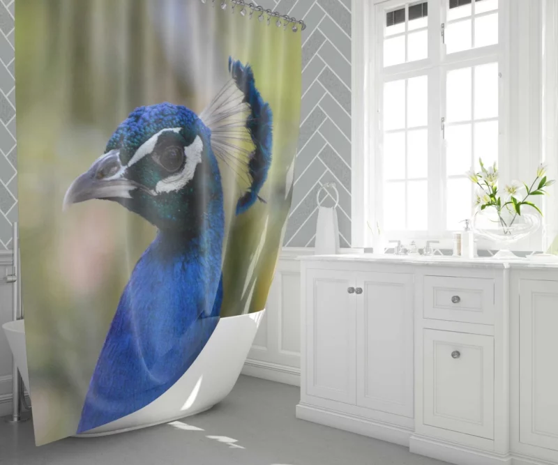 Sweetness in a Cat Gaze Shower Curtain 1