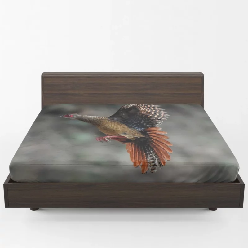 Swinhoe Pheasant Snowy Flight Wilderness Wonder Fitted Sheet