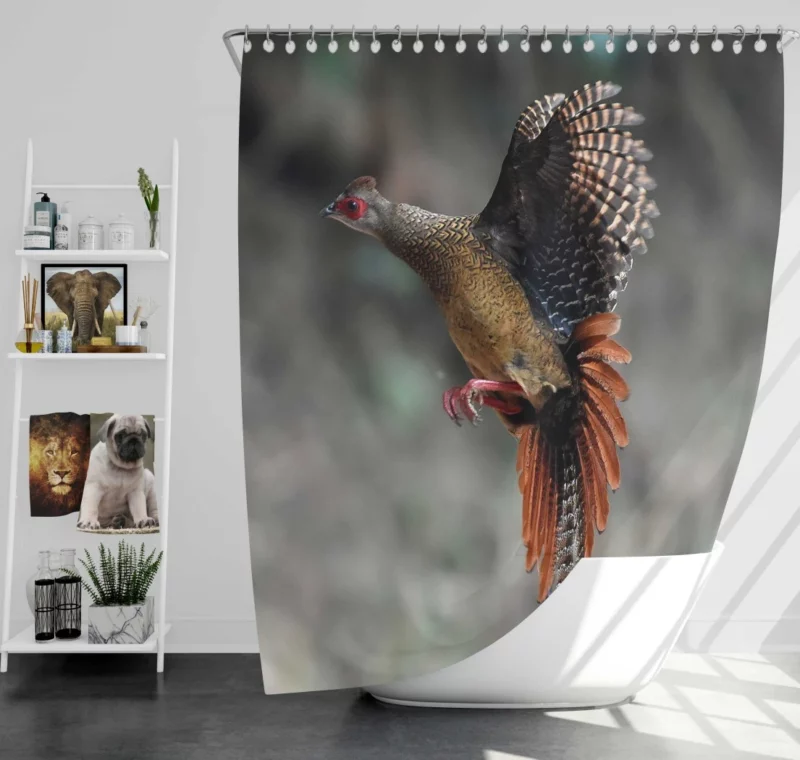 Swinhoe Pheasant Snowy Flight Wilderness Wonder Shower Curtain