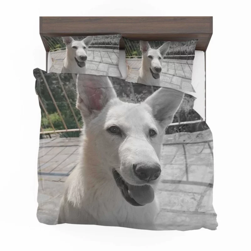 Swiss Shepherd Furry Family Heartwarming Bedding Set 1