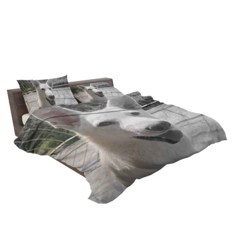 Swiss Shepherd Furry Family Heartwarming Bedding Set 2