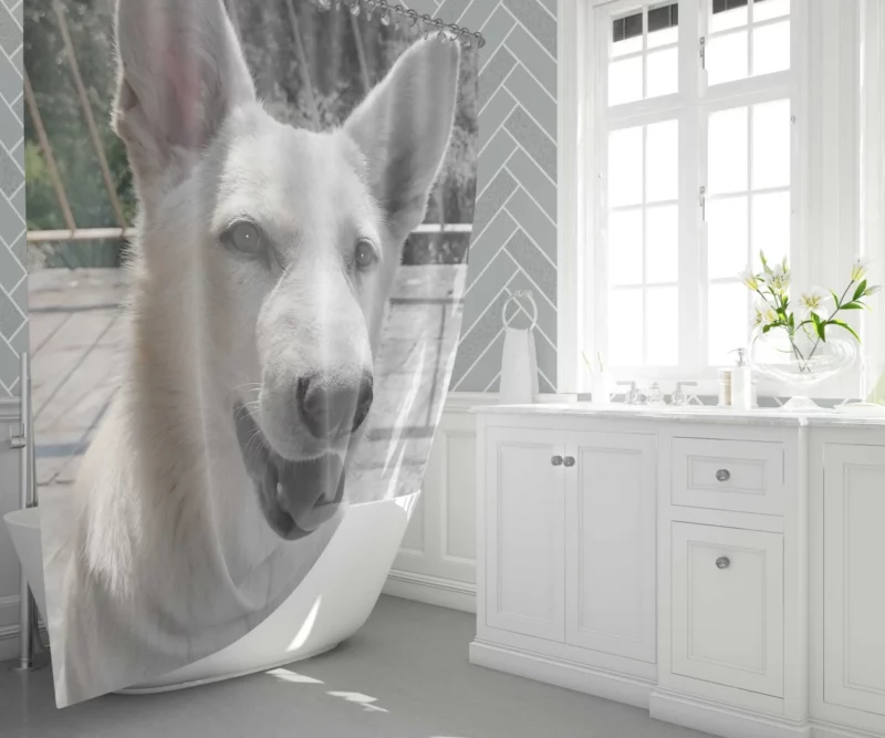 Swiss Shepherd Furry Family Heartwarming Shower Curtain 1