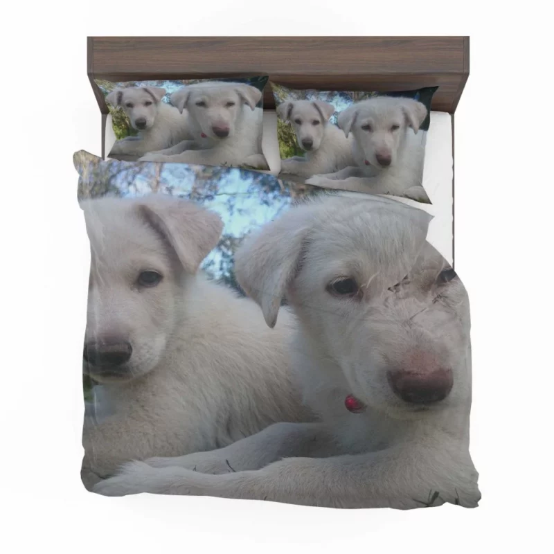 Swiss Shepherd Puppies Playful Companions Bedding Set 1