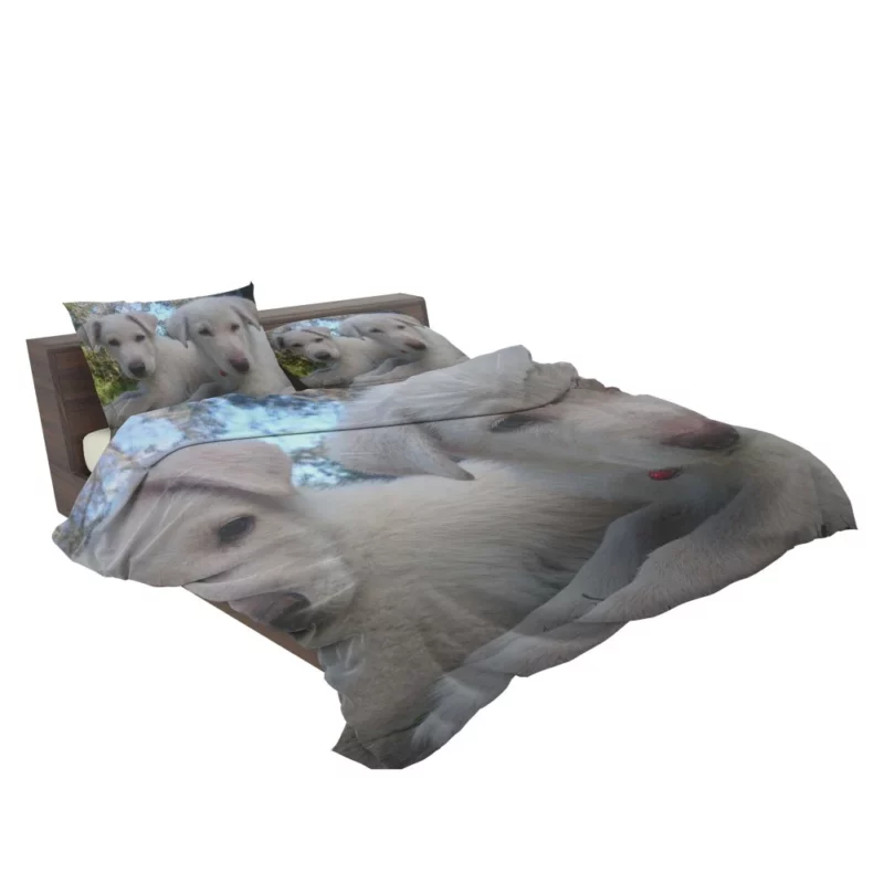 Swiss Shepherd Puppies Playful Companions Bedding Set 2