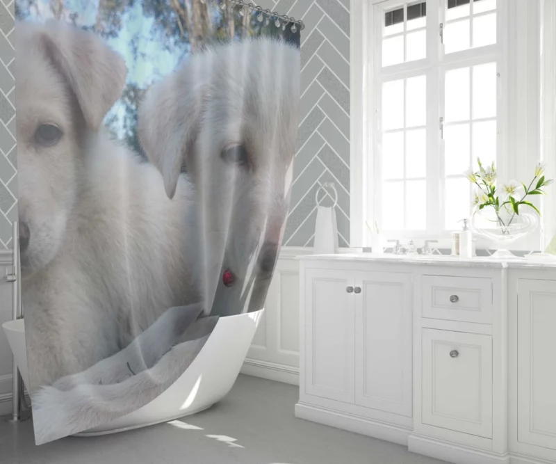 Swiss Shepherd Puppies Playful Companions Shower Curtain 1