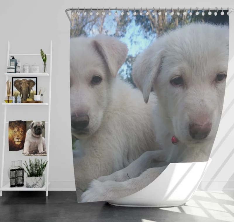 Swiss Shepherd Puppies Playful Companions Shower Curtain