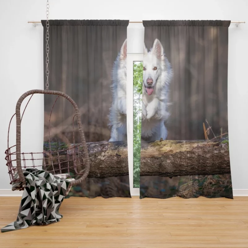 Swiss Shepherd Wholesome Essence Curtain