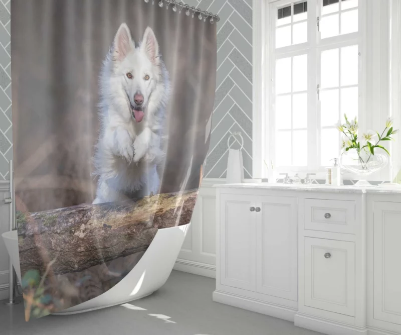 Swiss Shepherd Wholesome Essence Shower Curtain 1